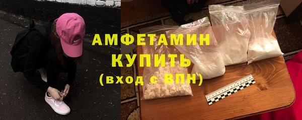 индика Заволжье