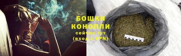 индика Заволжье