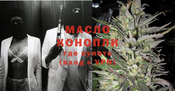 индика Заволжье