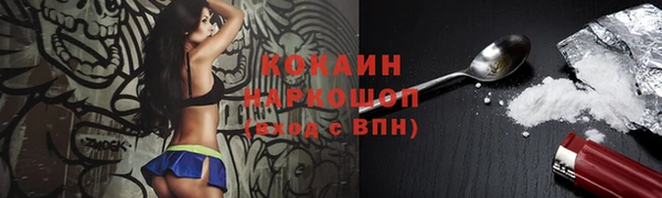 альфа пвп Заводоуковск