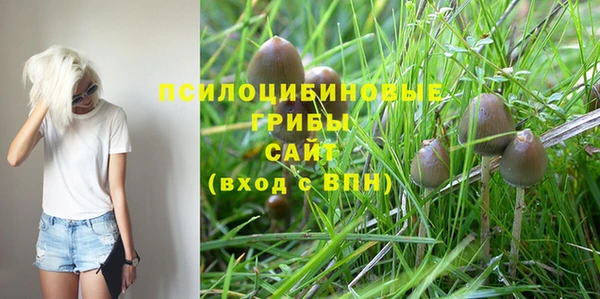 индика Заволжье