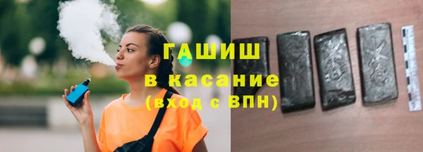 индика Заволжье