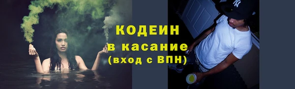 индика Заволжье