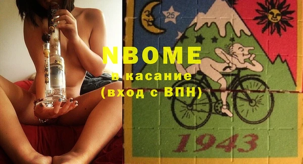 индика Заволжье