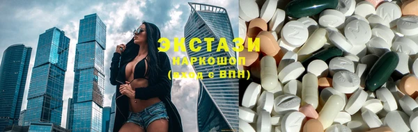 индика Заволжье