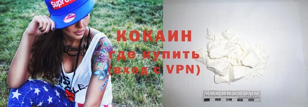 индика Заволжье