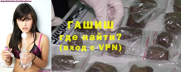 индика Заволжье